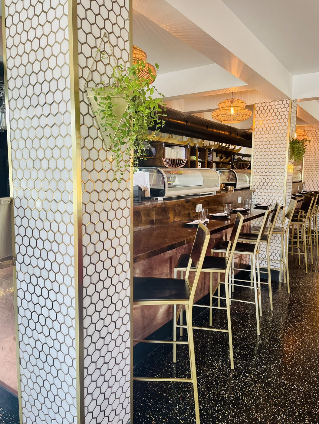 The sushi bar framed by honeycomb-tiled columns with trailing hanging plants overhead.